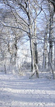Winterlandschaft